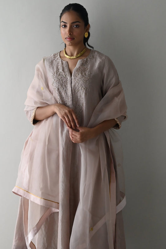 Nude Organza Dupatta