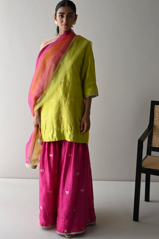 Multicolor Organza Dupatta